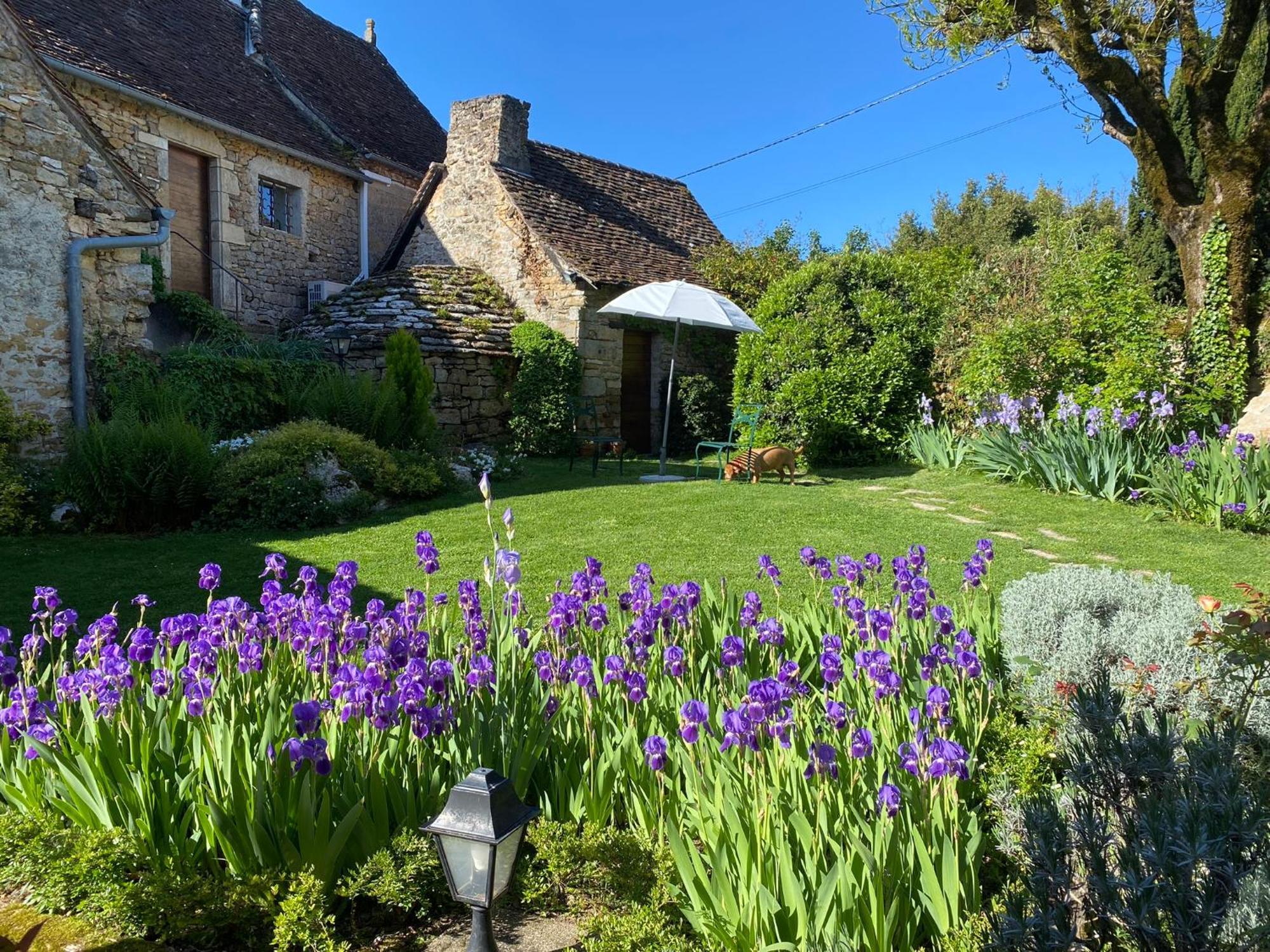 Manoir de Rieuzal Loubressac Exterior foto