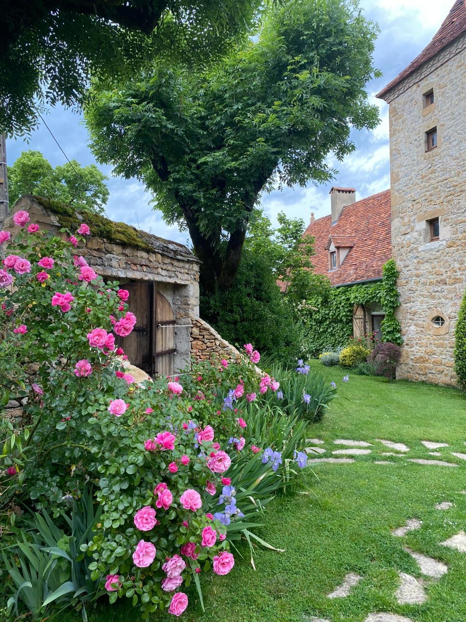 Manoir de Rieuzal Loubressac Exterior foto