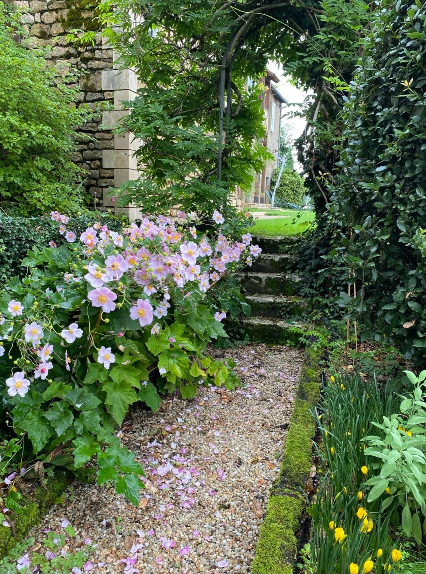 Manoir de Rieuzal Loubressac Exterior foto